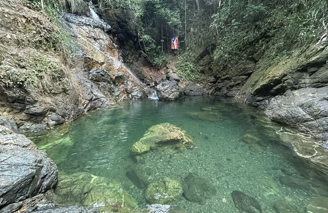 Ecoturismo